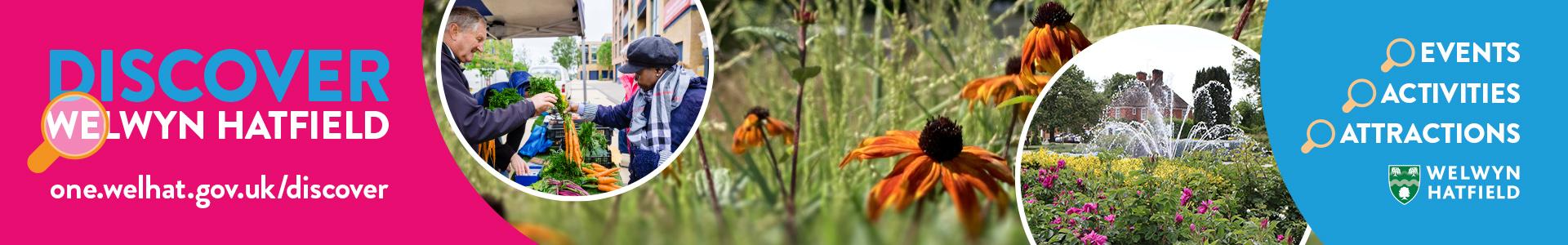 Image of hatfield market, flowers and the wgc fountain