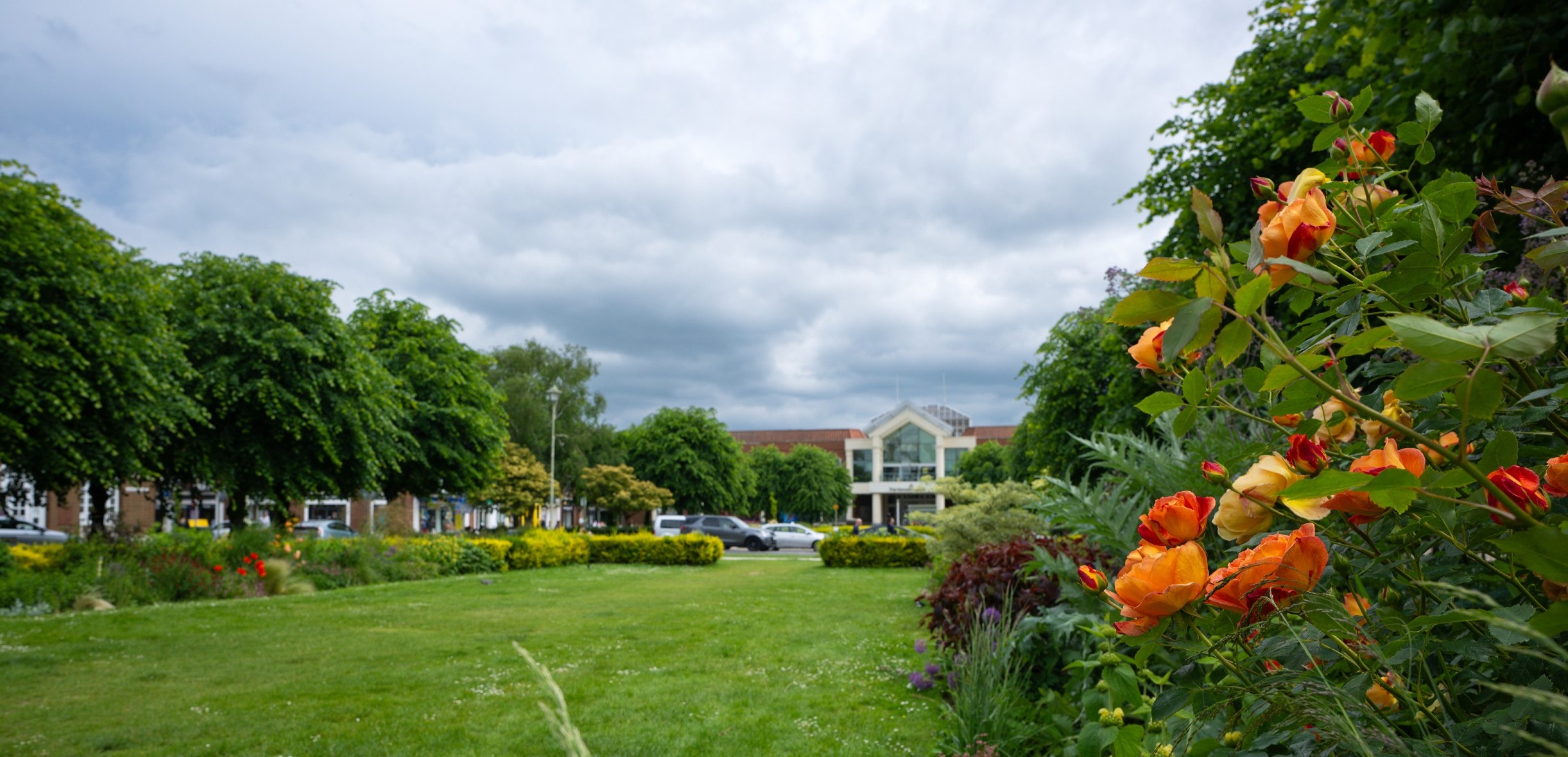 flowers and grass in front of the Howard Centre