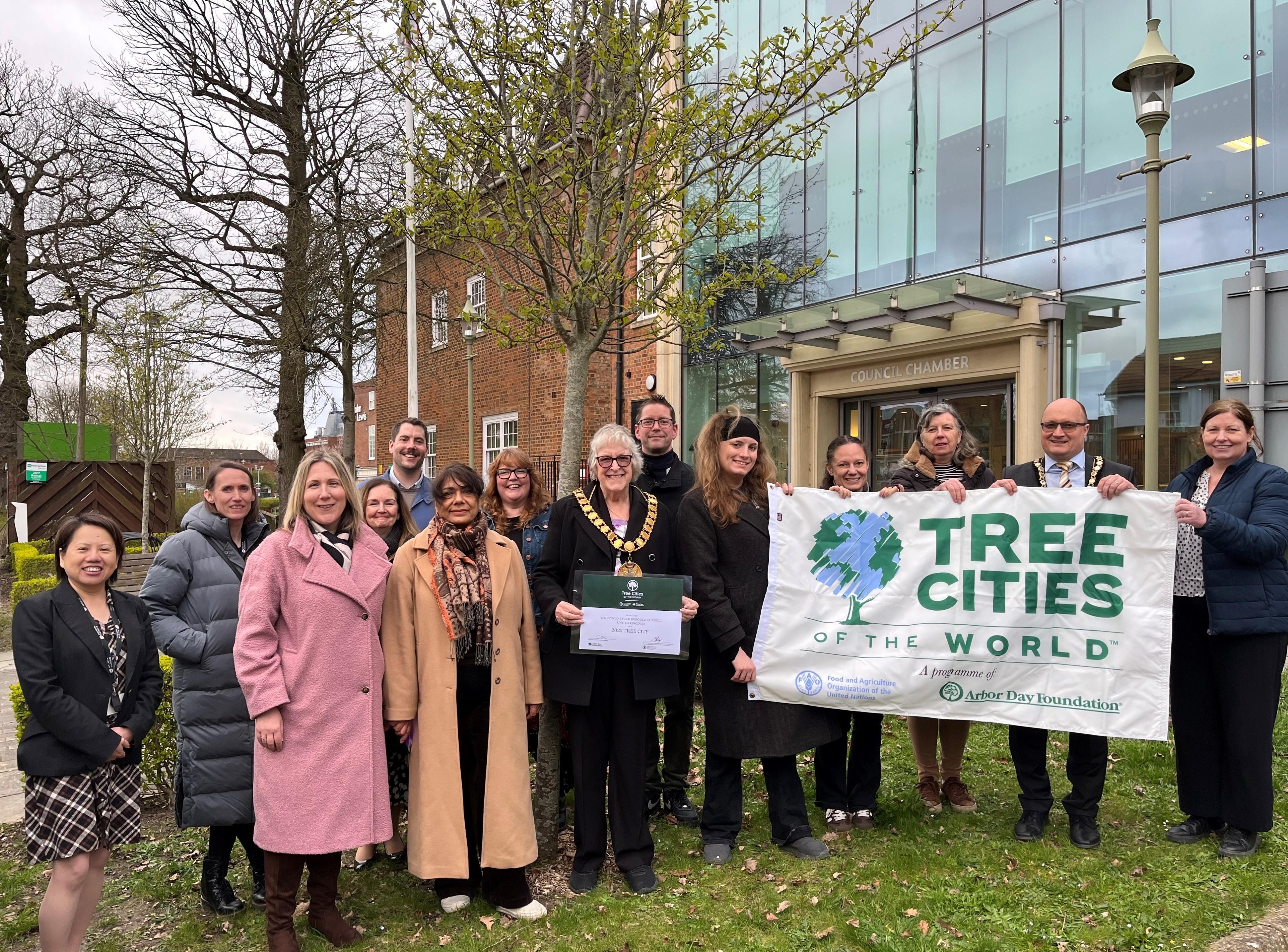 Tree cities of the world 2025 cabinet